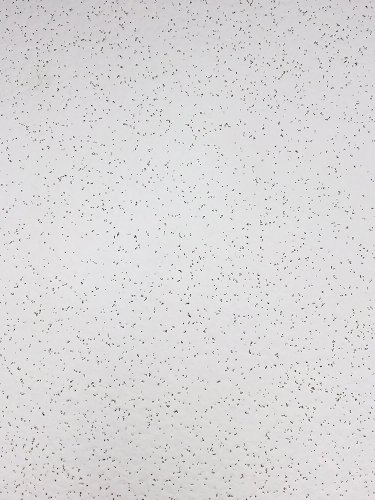 Forro Ecophon Gedina 625x625x15mm - cx 40pç
