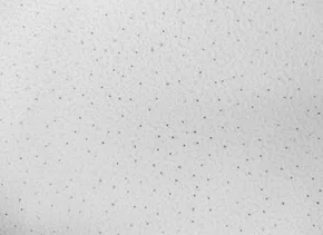 Forro Mineral Sand 625x1250x15mm (cx c/10pçs)